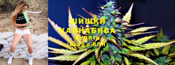 сатива Березники