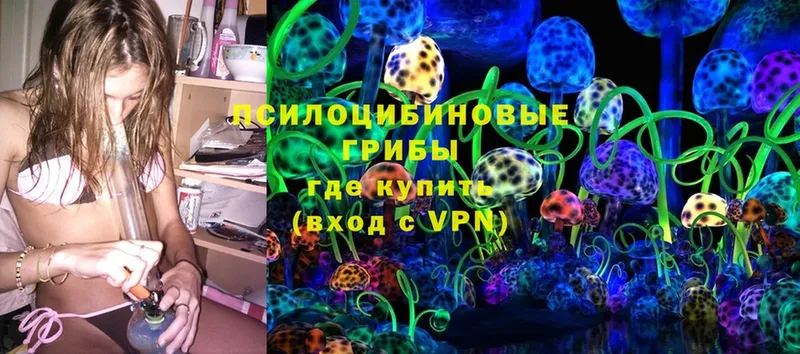 Галлюциногенные грибы Magic Shrooms  Бокситогорск 